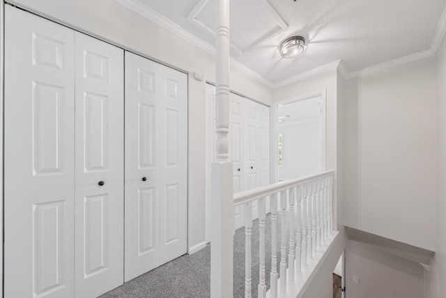 8 Moore Ln, Washingtonville, NY 10992 - hall with crown molding and carpet flooring