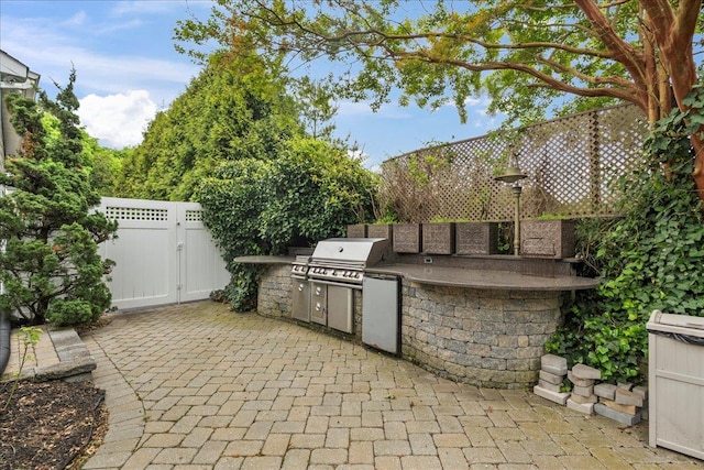40 Carlisle Ln, East Islip, NY 11730 - fenced backyard with a patio and a gate