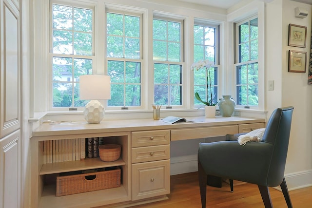 106 Garden Rd, Scarsdale, NY 10583 - office area featuring light wood-type flooring