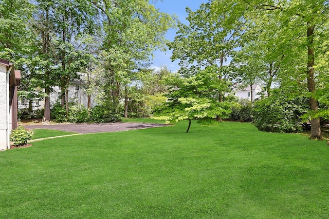 106 Garden Rd, Scarsdale, NY 10583 - view of green lawn