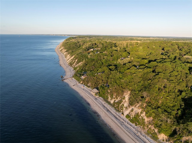 70 Jean Ct, Riverhead, NY 11901 - view of property location featuring extended coastline and a forest