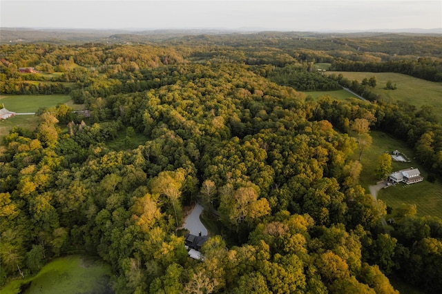 258 Fox Run Rd, Salt Point, NY 12578 - view of property location featuring a forest
