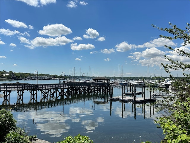 13 Linwood Rd S, Port Washington, NY 11050 - dock with a water view