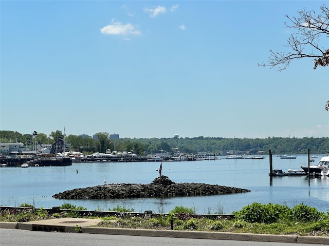 13 Linwood Rd S, Port Washington, NY 11050 - water view