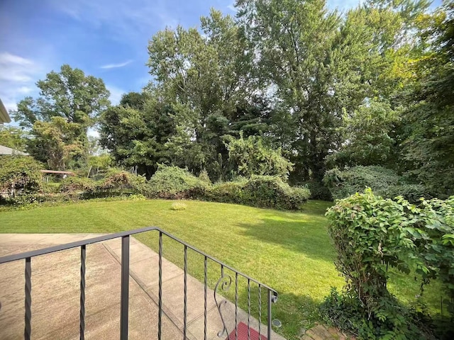 663 Woodbury Rd, Oyster Bay, NY 11791 - view of green lawn