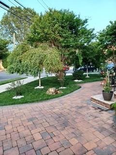 127-22 Kew Gardens Rd, Kew Gardens, NY 11415 - photo 5
