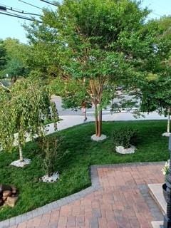 127-22 Kew Gardens Rd, Kew Gardens, NY 11415 - photo 6