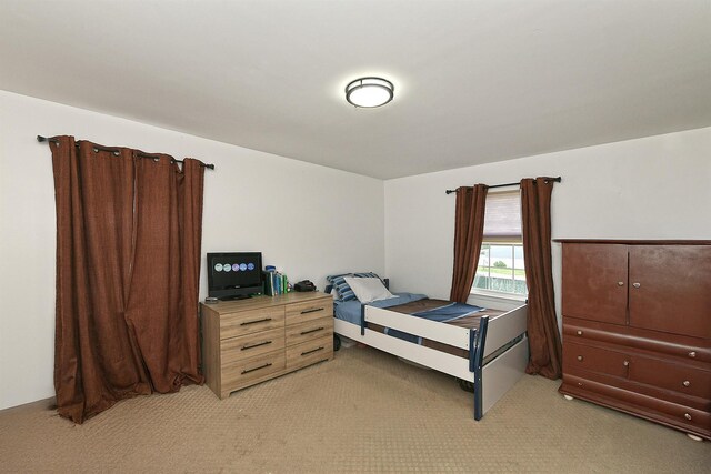 6 Country Ct, Farmingdale, NY 11735 - bedroom featuring light colored carpet
