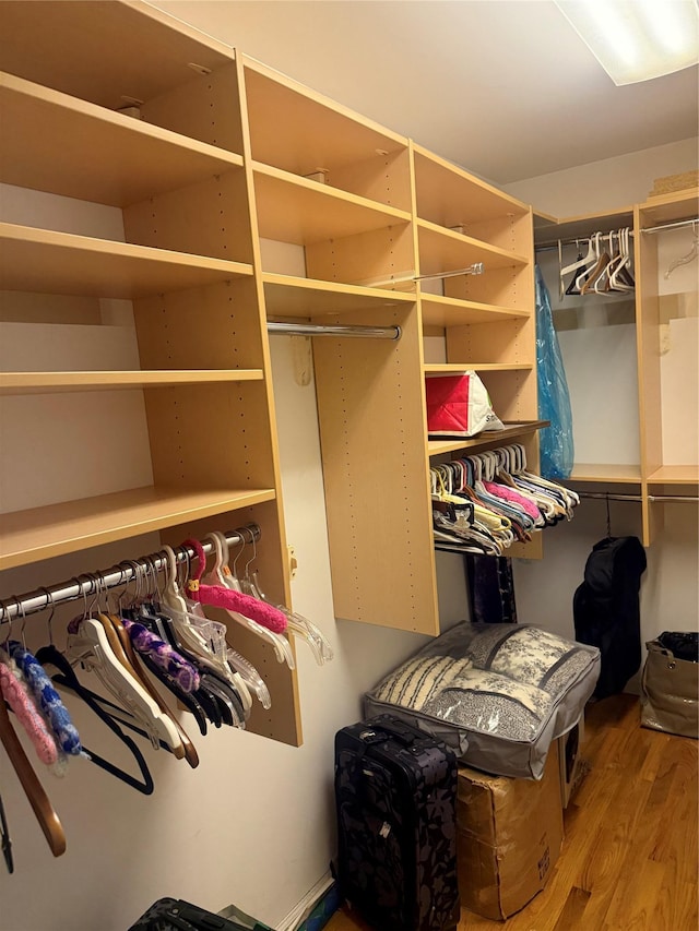 12 Rosell Ct, Lagrangeville, NY 12540 - walk in closet with wood finished floors