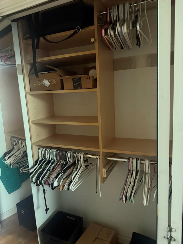 12 Rosell Ct, Lagrangeville, NY 12540 - view of closet