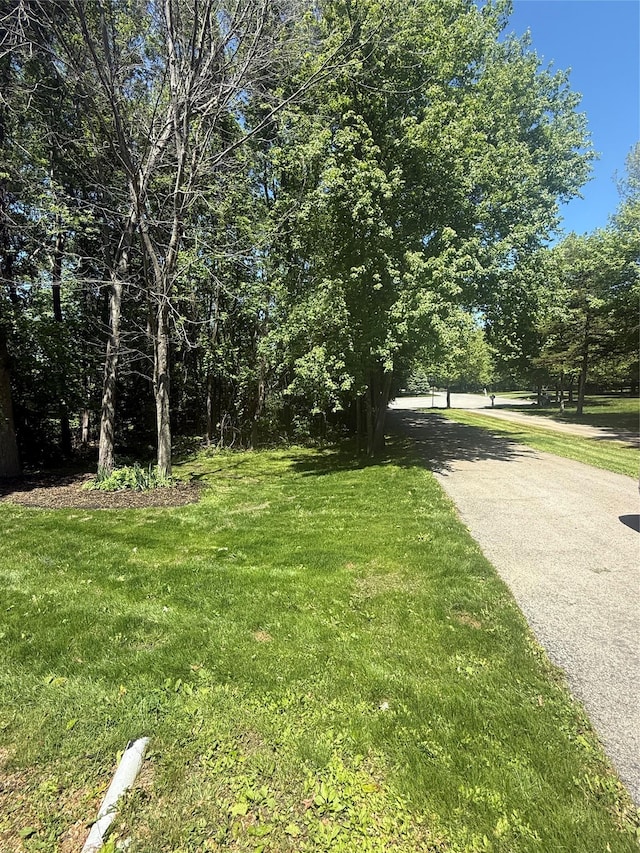 12 Rosell Ct, Lagrangeville, NY 12540 - view of grassy yard with asphalt driveway
