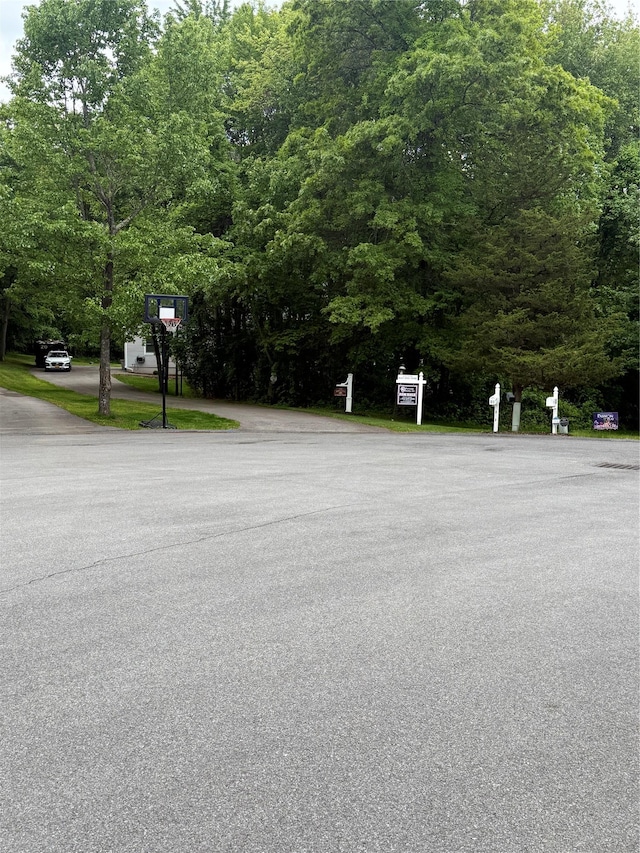 12 Rosell Ct, Lagrangeville, NY 12540 - view of asphalt street
