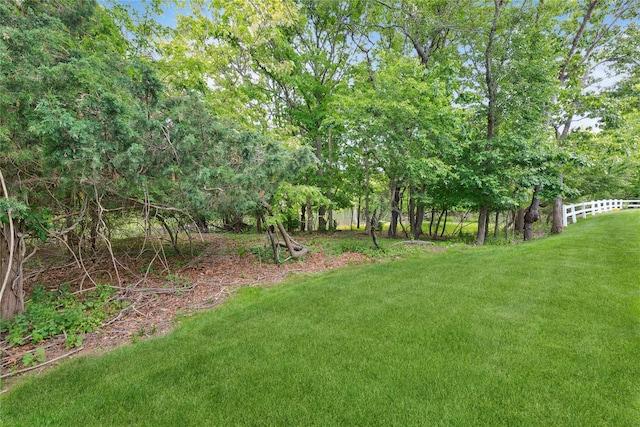 32 Blueberry Cmn, Riverhead, NY 11901 - view of yard
