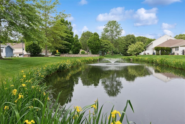 32 Blueberry Cmn, Riverhead, NY 11901 - water view
