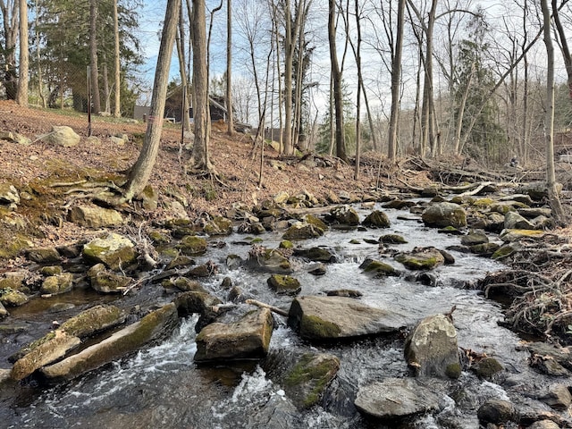 210 Seven Bridges Rd Unit A, Mount Kisco, NY 10549 - view of undeveloped land