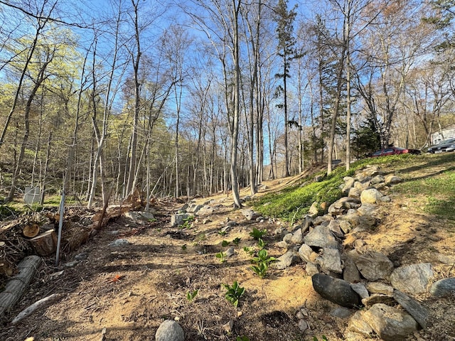 210 Seven Bridges Rd Unit A, Mount Kisco, NY 10549 - view of nature