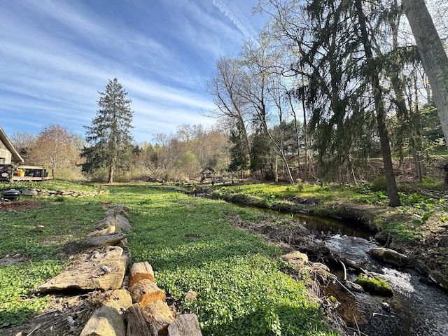 210 Seven Bridges Rd Unit A, Mount Kisco, NY 10549 - view of yard