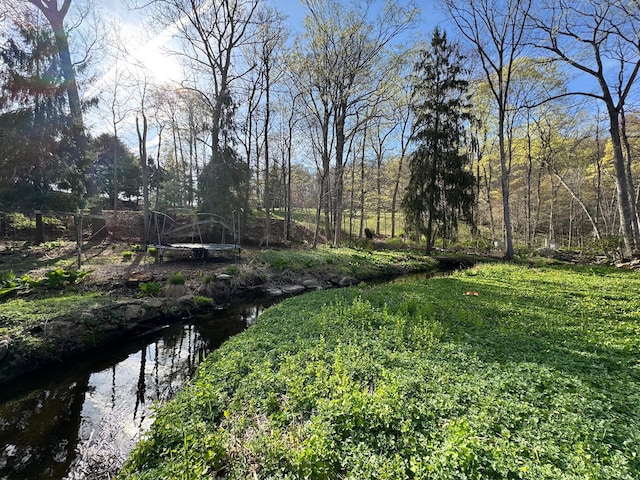 210 Seven Bridges Rd Unit A, Mount Kisco, NY 10549 - view of yard