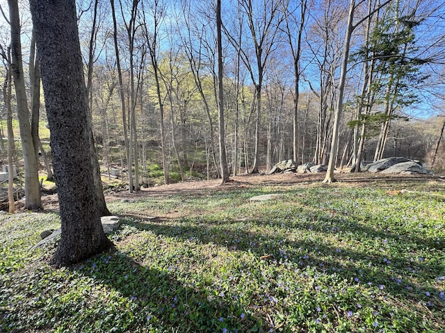 210 Seven Bridges Rd Unit A, Mount Kisco, NY 10549 - view of yard