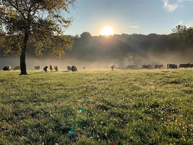 210 Seven Bridges Rd Unit A, Mount Kisco, NY 10549 - view of mountain background featuring rural landscape and a pastoral area