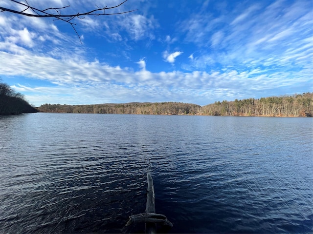 210 Seven Bridges Rd Unit A, Mount Kisco, NY 10549 - dock featuring a water view and a view of trees
