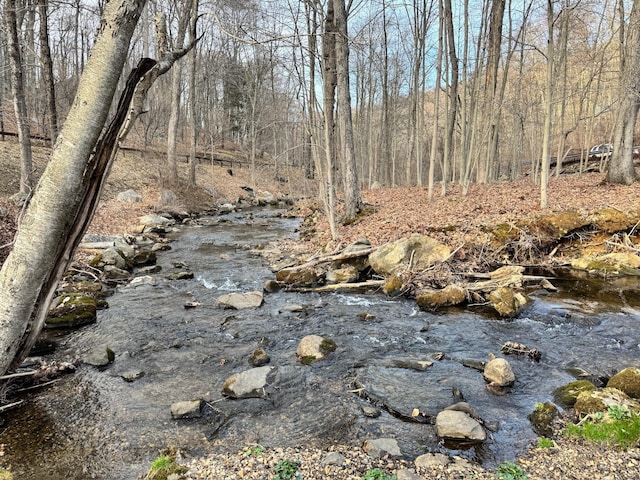 210 Seven Bridges Rd Unit A, Mount Kisco, NY 10549 - view of nature