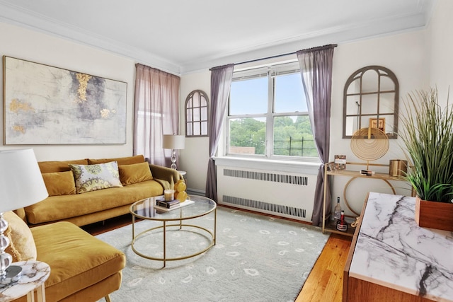 1 Bronxville Rd Unit 6M, Bronxville, NY 10708 - living room featuring radiator heating unit, ornamental molding, and wood finished floors