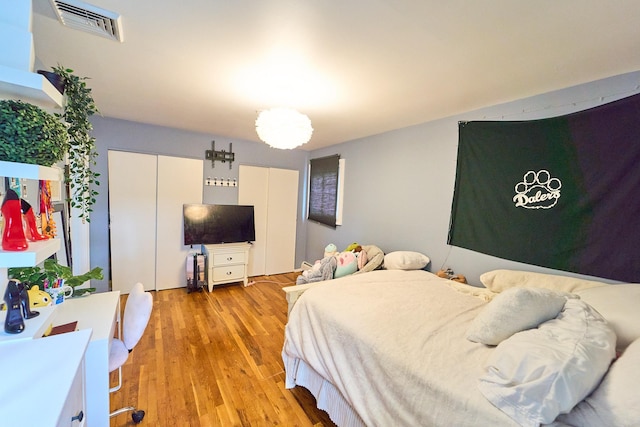 2 Hawthorne St, Farmingdale, NY 11735 - bedroom with two closets and light wood-style flooring