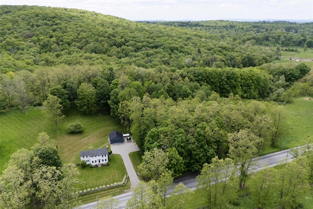 620 Rte 343, Millbrook, NY 12545 - bird's eye view of a heavily wooded area