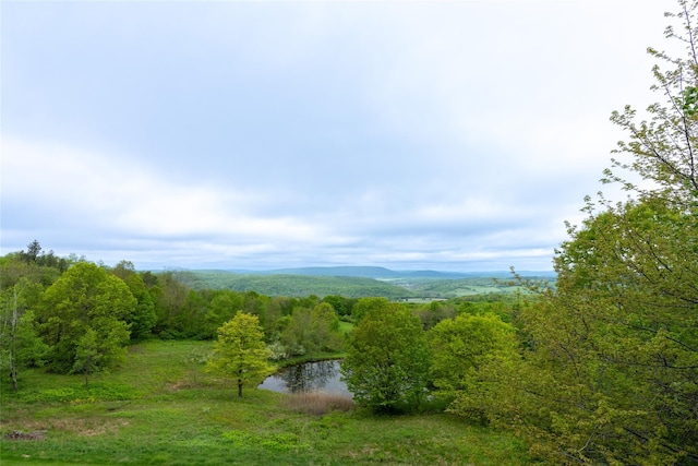 139 Charlie Hill Rd, Millerton, NY 12546 - view of mountain backdrop featuring a nearby body of water and a heavily wooded area