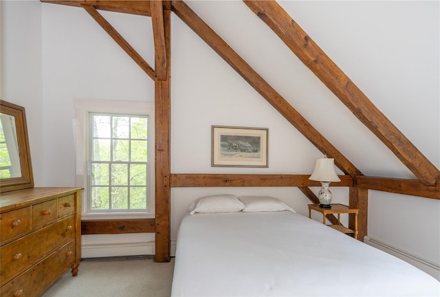 139 Charlie Hill Rd, Millerton, NY 12546 - bedroom featuring a baseboard heating unit, multiple windows, and light colored carpet