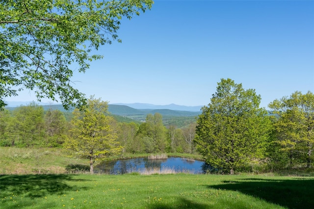 139 Charlie Hill Rd, Millerton, NY 12546 - water view with a mountainous background and a forest