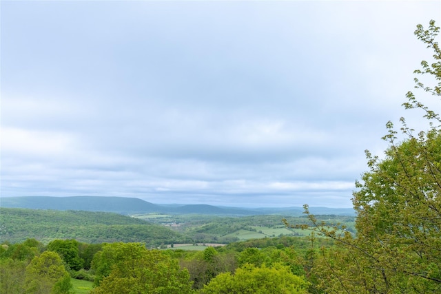 139 Charlie Hill Rd, Millerton, NY 12546 - view of mountain backdrop
