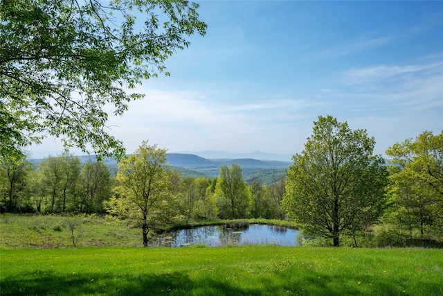 139 Charlie Hill Rd, Millerton, NY 12546 - photo 2