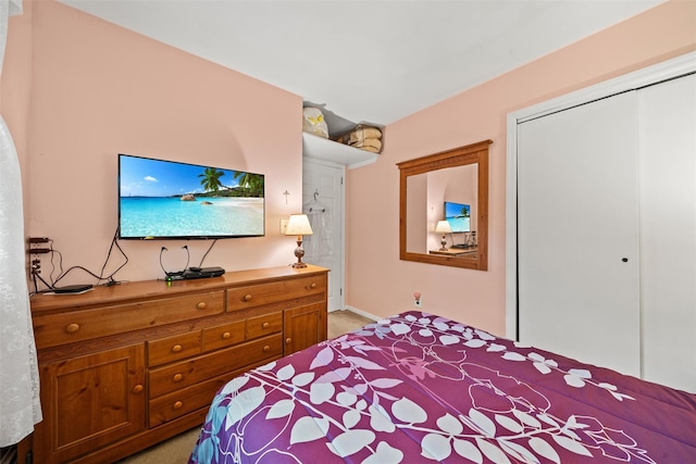 397 Mine Rd, Monroe, NY 10950 - bedroom featuring light colored carpet, a closet, and baseboards