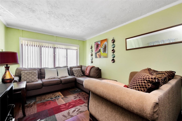 15 W Forest Ave, Freeport, NY 11520 - living room with wood finished floors, a textured ceiling, and ornamental molding