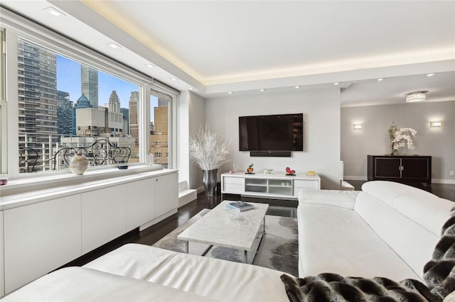 205 E 63rd St Phe, Phe New York Manhattan, NY 10065 - living room with wood finished floors, recessed lighting, and baseboards