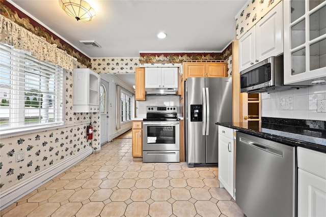 21 Arizona Ave, Syosset, NY 11791 - kitchen featuring appliances with stainless steel finishes, under cabinet range hood, a baseboard heating unit, glass insert cabinets, and backsplash