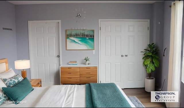 355 Kings Hwy Unit 5C, Brooklyn, NY 11223 - bedroom featuring wood finished floors and a closet