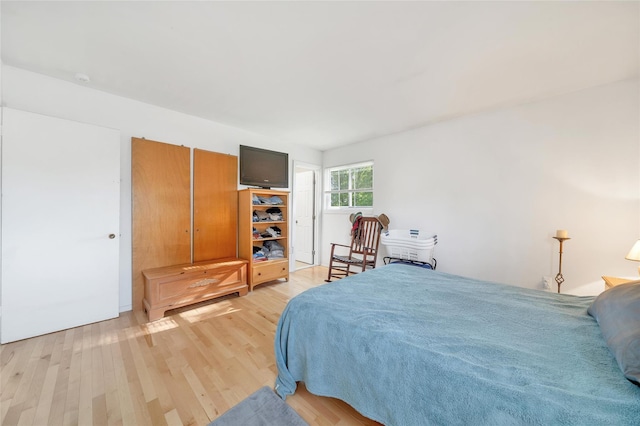 19 Decker Dr, Washingtonville, NY 10992 - bedroom with light wood-type flooring