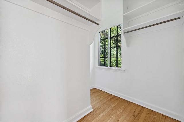 119 Knickerbocker Rd, Manhasset, NY 11030 - view of closet