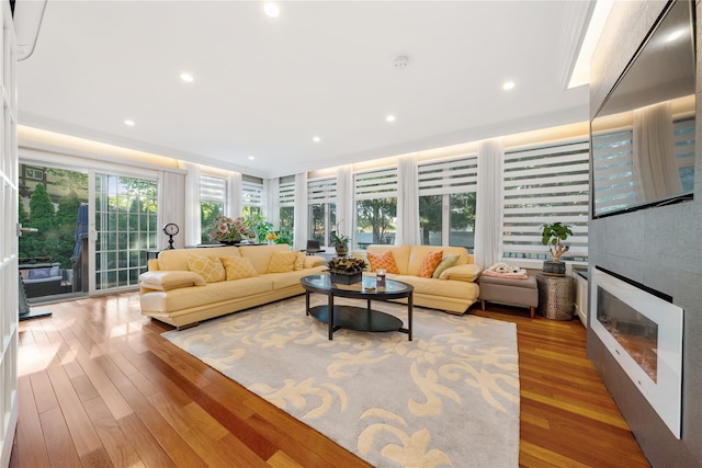 3 Deb St, Plainview, NY 11803 - living room with wood-type flooring, a glass covered fireplace, and recessed lighting