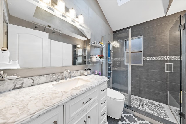 3 Deb St, Plainview, NY 11803 - full bath with vanity, toilet, lofted ceiling, and a shower stall