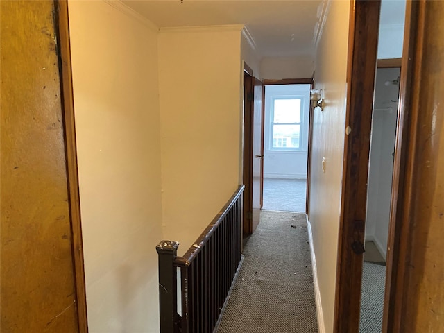 1646 Troy Ave, Brooklyn, NY 11234 - hallway featuring carpet floors and ornamental molding