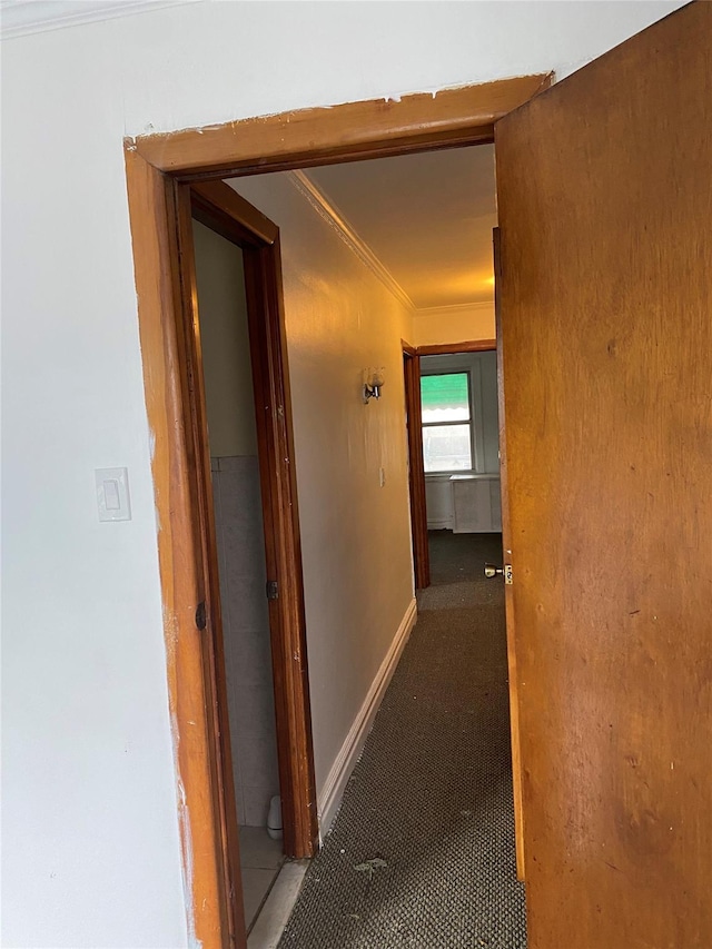 1646 Troy Ave, Brooklyn, NY 11234 - hall with ornamental molding and baseboards