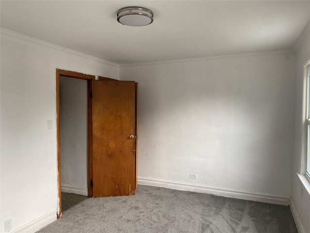 1646 Troy Ave, Brooklyn, NY 11234 - carpeted empty room featuring crown molding and baseboards