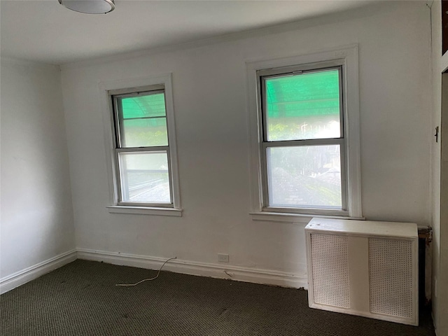 1646 Troy Ave, Brooklyn, NY 11234 - unfurnished room with radiator, dark carpet, and baseboards