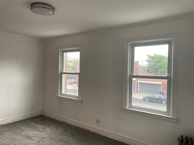 1646 Troy Ave, Brooklyn, NY 11234 - carpeted empty room with crown molding and baseboards