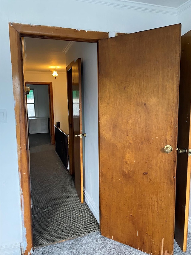 1646 Troy Ave, Brooklyn, NY 11234 - hall with carpet, crown molding, and baseboards