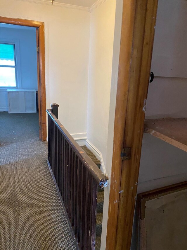 1646 Troy Ave, Brooklyn, NY 11234 - staircase featuring carpet flooring and ornamental molding